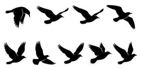 Set of black bird silhouettes in different flight poses isolated on white background group of flying crows or seagulls vector illustration silhouette isolated.