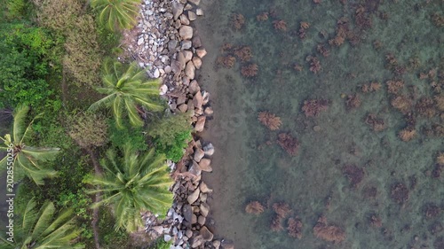 Aerial drone footage of a tropical rocky coastline and palm trees