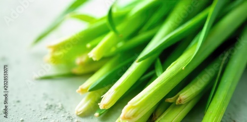 Freshly harvested lemongrass stalks, vibrant green and aromatic, ready for culinary use or herbal remedies  Close-up view highlighting the texture and detail of the leaves and stems ,  spa,  garden
