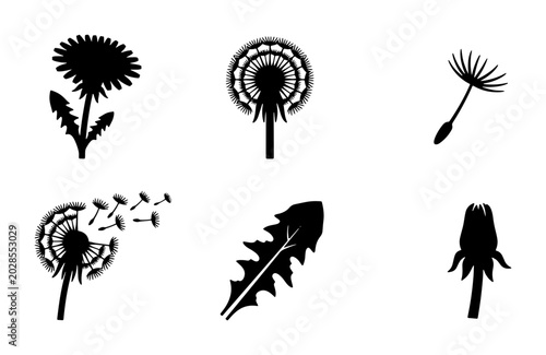Foto Dandelion Vector Icons Set: Blooming Flower, Seed Head, Flying Seeds, Bud, and L