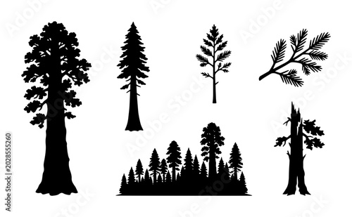 Canvastavla Forest Silhouette Collection, Evergreen Trees Vector Pack, Pine and Fir Woodland