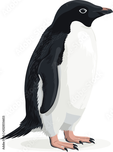 Photos Cute cartoon adelie penguin vector illustration, side view of antarctic polar bi