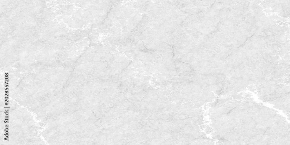 Fototapeta premium Luxury Light Gray and White Marble Texture