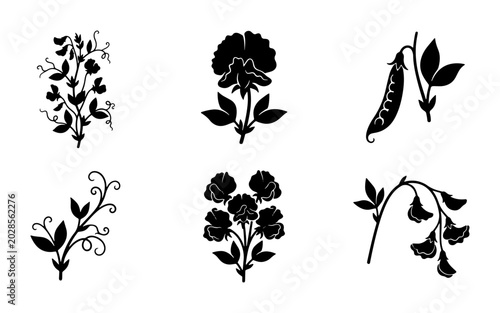 Tableau sur toile Black Silhouette Sweet Pea Flower Icons, Botanical Vector Elements, Floral Decor
