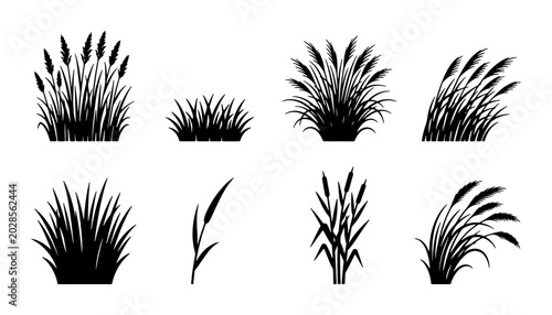Black Silhouette Grass Clumps, Wheat Stalks, and Reeds Vector Set. Nature Elements for Landscape Design, Agricultural Themes, and Botanical Illustrations.