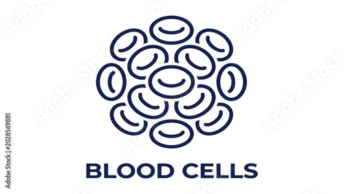 Tableau sur toile Blood cells are depicted in a cluster to represent hematology and human circulatory system health