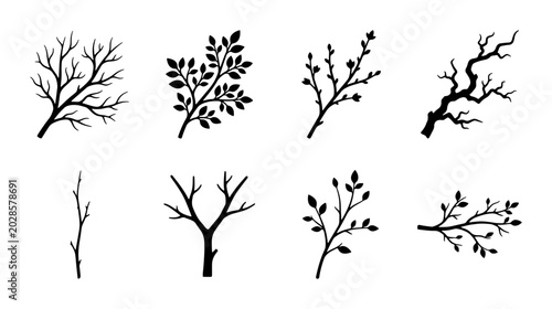 Fotografía Botanical Branch Silhouettes, Vector Elements Set: Twigs, Leaves, Nature Motifs