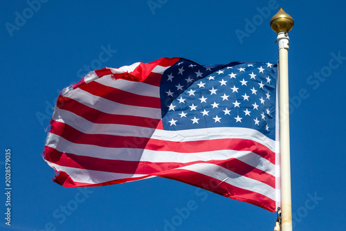 United States of America Flag