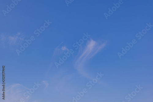 青空に描く