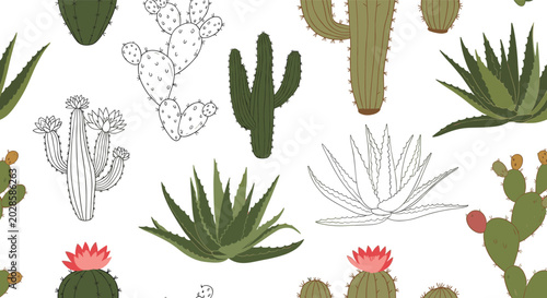 Seamless pattern features types of cacti and succulent plants in green and white colors with pink flowers on a clean white background.