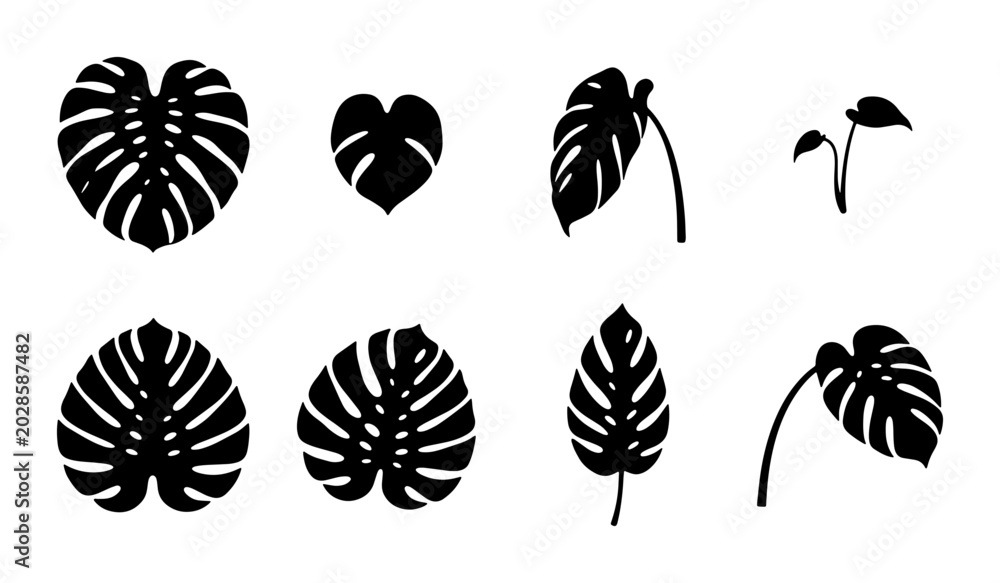 Fototapeta premium Monstera Leaf Silhouettes, Tropical Plant Icons, Botanical Vector Elements, Jungle Foliage Graphics