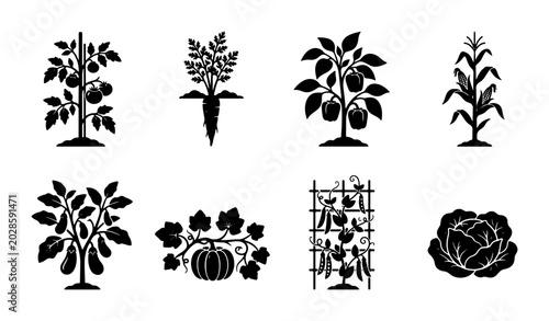 Foto Garden Vegetable Icons Set, Organic Produce Silhouettes, Healthy Food Illustrati