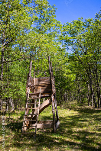 Wooden Hunting Stand In Green Forest Sunny Day