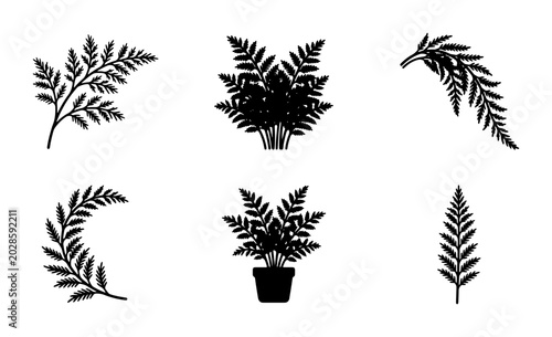 Black Fern Silhouettes, Botanical Vector Elements, Nature Leaf Illustrations, Organic Plant Graphics, Decorative Foliage Designs