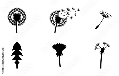 Photos Dandelion Vector Icons Set, Seed Dispersal and Leaf Illustrations, Black and Whi