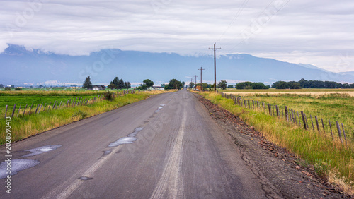 Farm Road In Northeastern Oregon