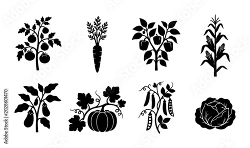 Bild auf Leinwand Garden Vegetable Icons Set, Organic Produce Silhouettes, Farm Fresh Plants Colle