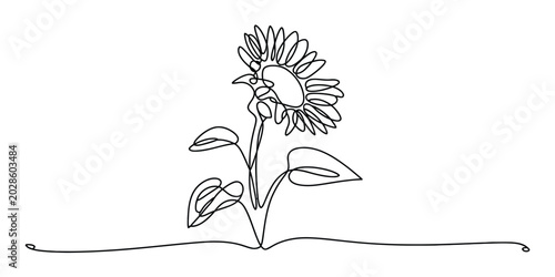 Continuous single line drawing of a beautiful sunflower plant with leaves Vector, illustration