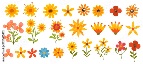 Photos orange yellow daisy flower heads graphic element bundle set