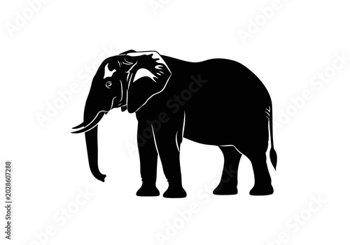 Valokuva Black silhouette of an elephant standing.