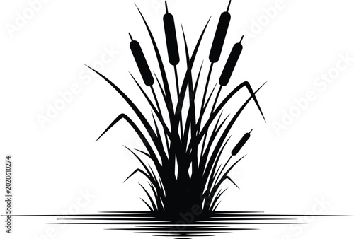 Schilderij op canvas Black cattail reeds silhouette isolated on white background nature illustration