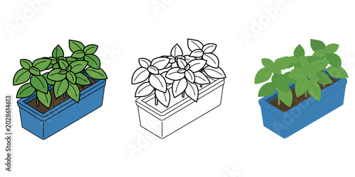 Bild auf Leinwand 青いプランターに植えたバジルのイラストセット