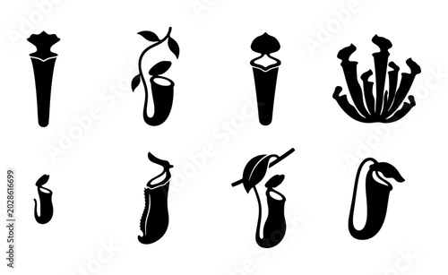 Photos Carnivorous Pitcher Plant Icons, Tropical Nepenthes Silhouette Collection, Exoti