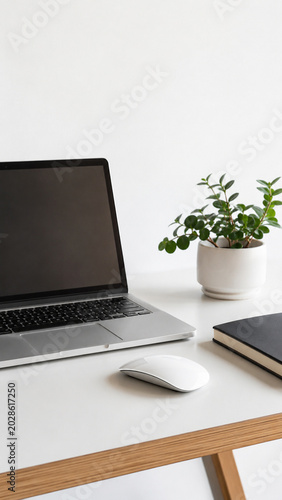 Modern Workspace Essentials: A sleek laptop, minimalist mouse, and a potted plant adorn a clean desk, symbolizing productivity and a contemporary home office setup.
