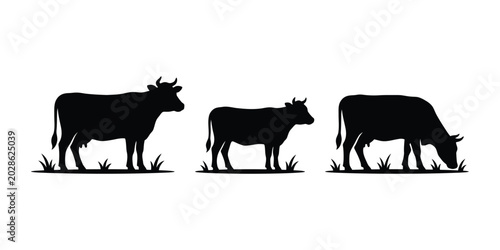 Cows on grass field silhouettes set, dairy cow or cattle farm animals standing and grazing.