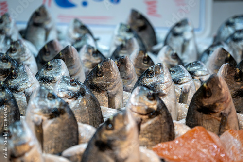 Fresh fish for sale in Athens market
