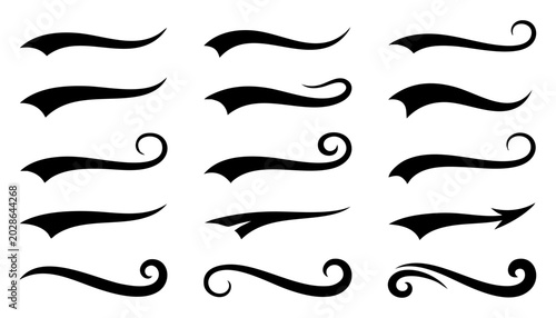 Bild auf Leinwand Set of swooshes, swashes, and tails for typography design handdrawn decorative e