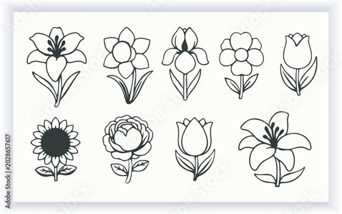 Minimal Hand Drawn Flower Outline Vector Collection Design