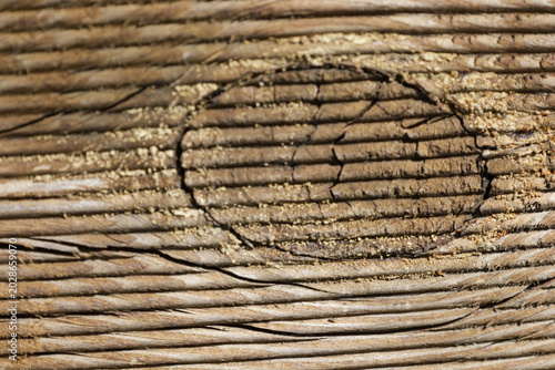 Fotografía Textura de madera con veta