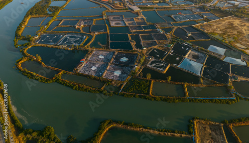Fotografie Aerial view of rectangular salt ponds and waterways in wetlands