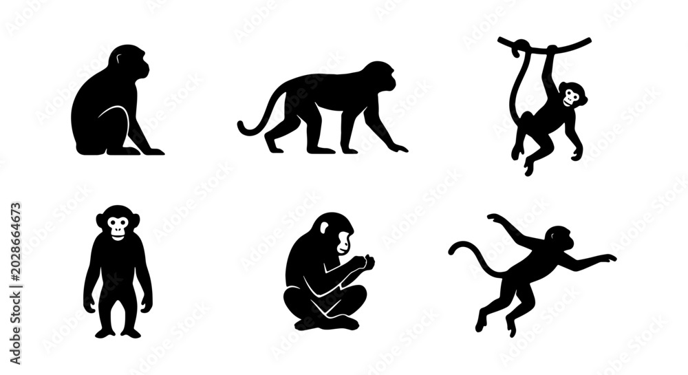 Fototapeta premium Monkey Silhouettes: Primate Poses, Jungle Animals, Wildlife Icons, Vector Art