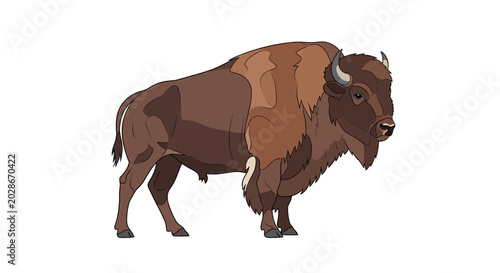 Bilde på lerret Brown bison standing profile view.