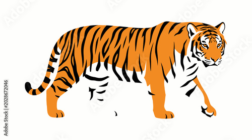 Tiger Walking Orange Black Stripes.