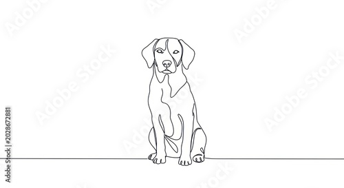 A sitting dog looks forward on a line in a minimalist illustration