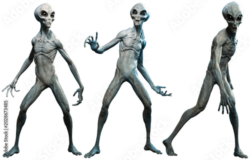 Obraz na płótnie Grey aliens
