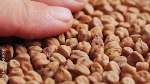 Chickpeas macro close up, background of uncooked dried chickpeas