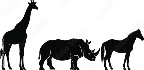 Photography Wild animal silhouettes collection featuring giraffe rhinoceros and horse isolat