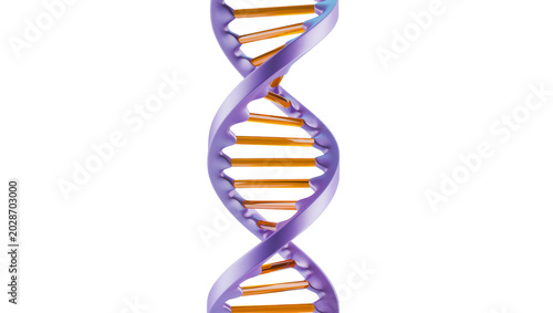 Foto Purple and orange DNA double helix structure, isolated on transparent background
