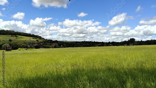 Tableau sur toile Uma pastagem de uma fazenda de Avaré, interior do Estado de São Paulo, Brasil
