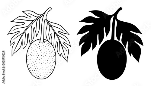 Slika na platnu Breadfruit minimalist icon illustration in outline and silhouette design