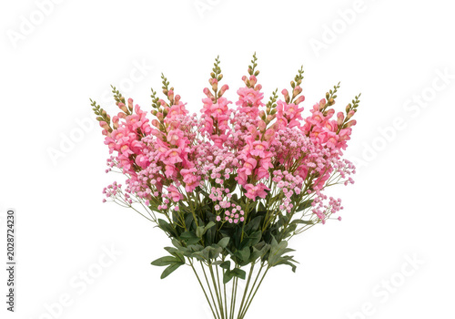Pink flower wreath on green sprigs isolated