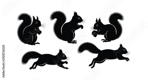 Foto Five black squirrel silhouettes are shown in different poses a vector illustration against a white background
