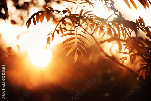 Foto Beautiful Nature Autumn landscape