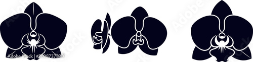 Silhouette of orchid flowers in various views