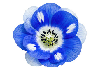 Blue floral wreath icon isolated on light background