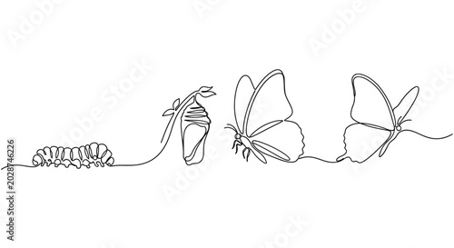 Canvastavla Life cycle of a butterfly showing caterpillar chrysalis and adult butterfly